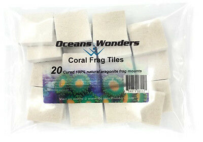 20 Cured Reef Tiles For Live Coral Frag Propagation By Oceans Wonders