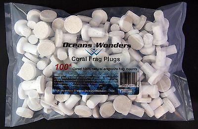 100 Cured Reef Plugs For Live Coral Frag Propagation  Great For Sps Lps Zoo Zoa