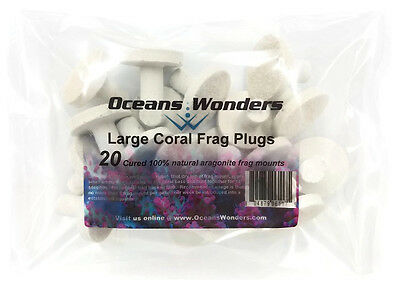 20 Large Reef Plugs For Live Coral Frag Propagation By Oceans Wonders